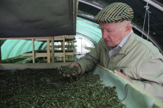 Szabó Gyuri bácsi előadása Győrben